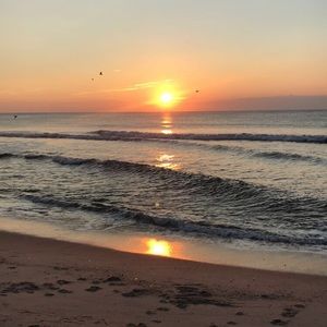 Meet your Posher, Paul